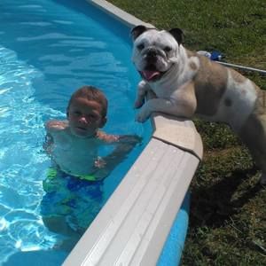 Meet your Posher, Daniel